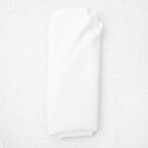 Cloth Napkin